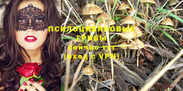 герыч Михайловск