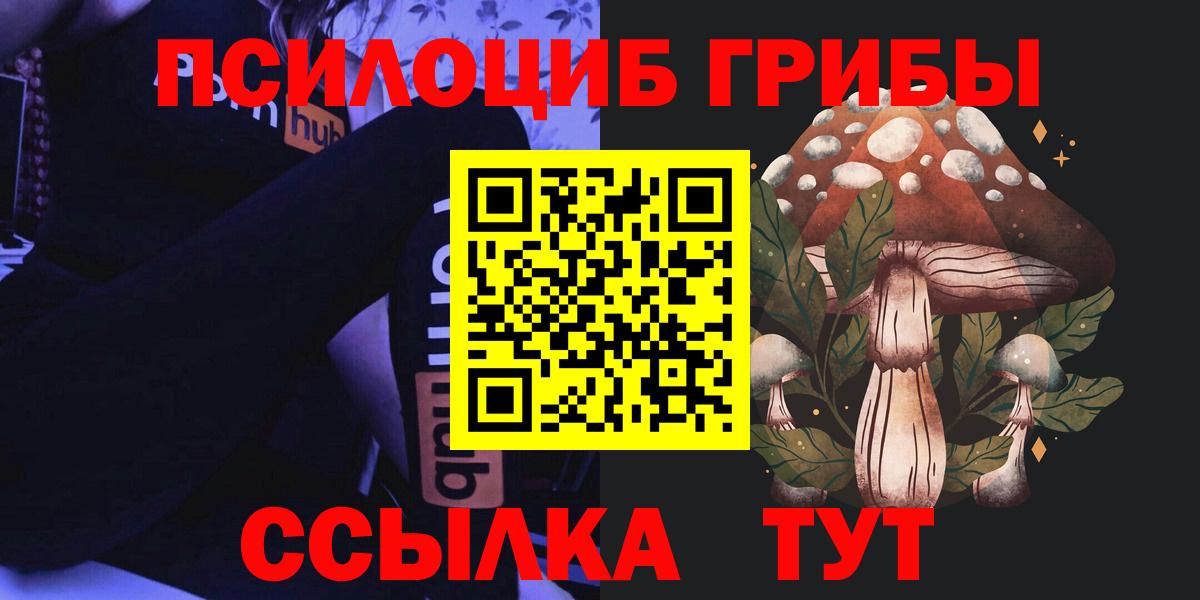 Псилоцибиновые грибы мицелий Назрань